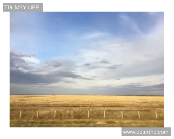 哈萨克斯坦地理文化多样性探索：从草原到现代化城市的变迁与发展